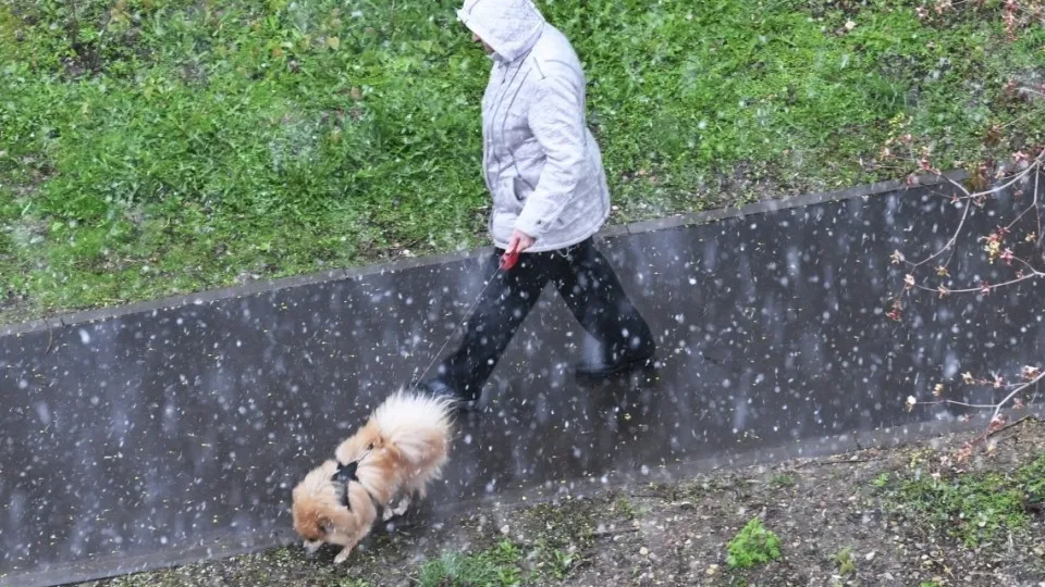 Фото: РИА Новости/Кирилл Каллиников