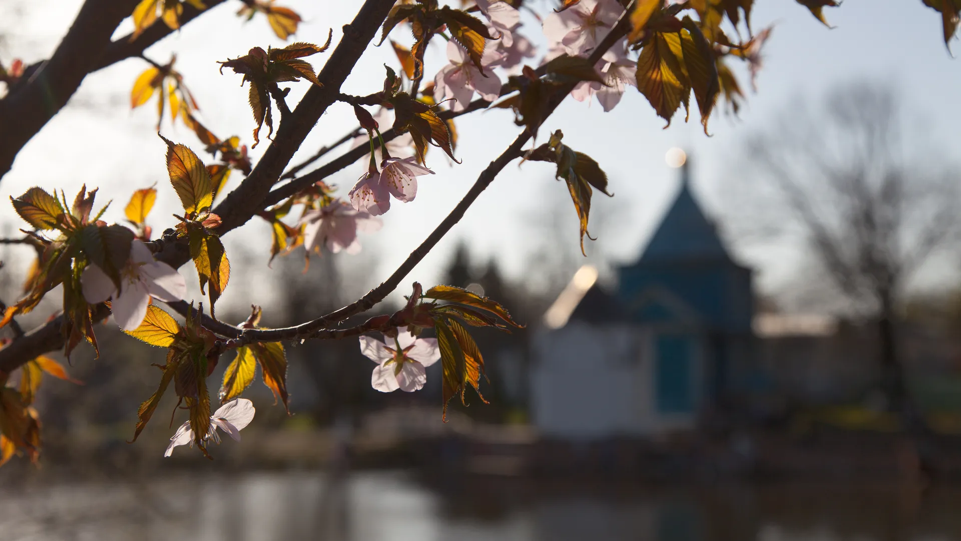 медиасток.рф