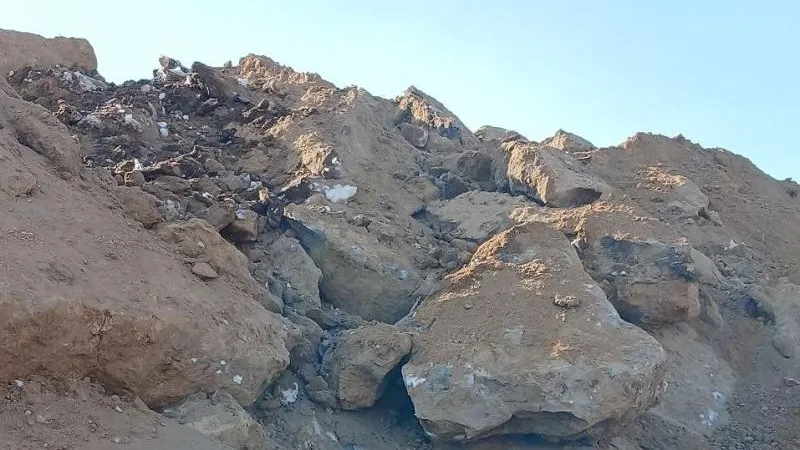 Минэкологии МО