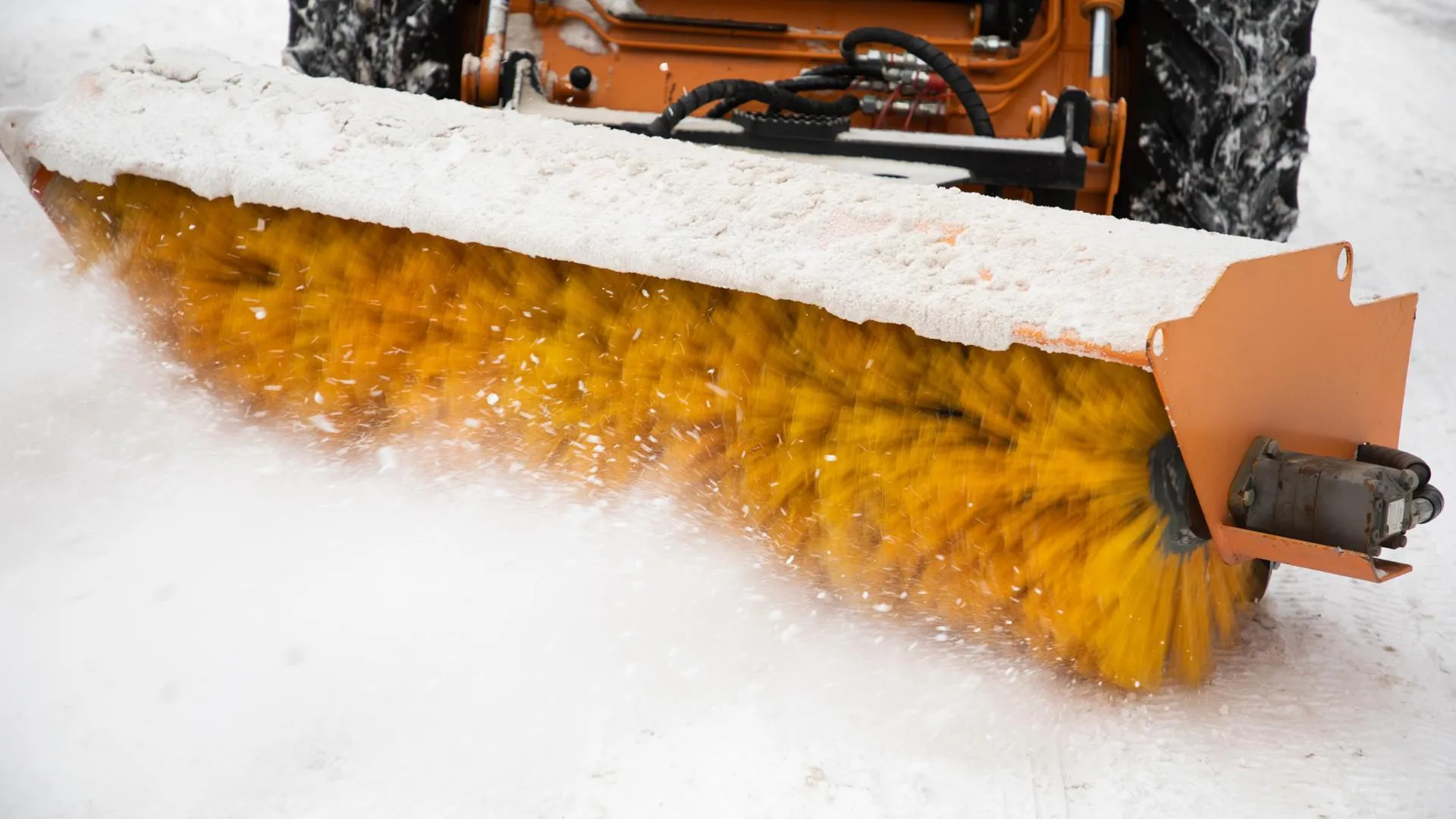 Фото: Анастасия Харченко