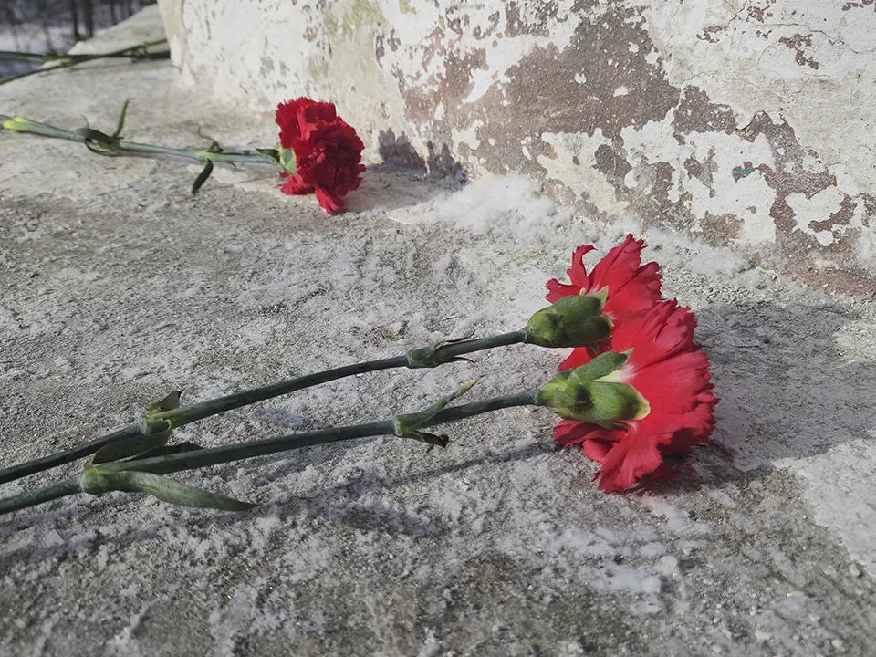 Фото: Андрей Семибратов