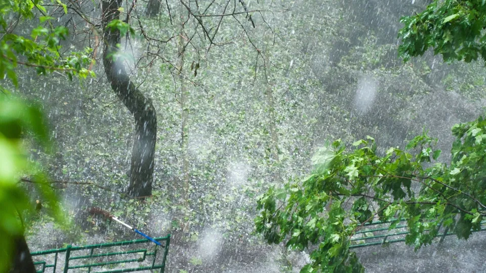 Фото: РИА Новости/Дмитрий Паршин