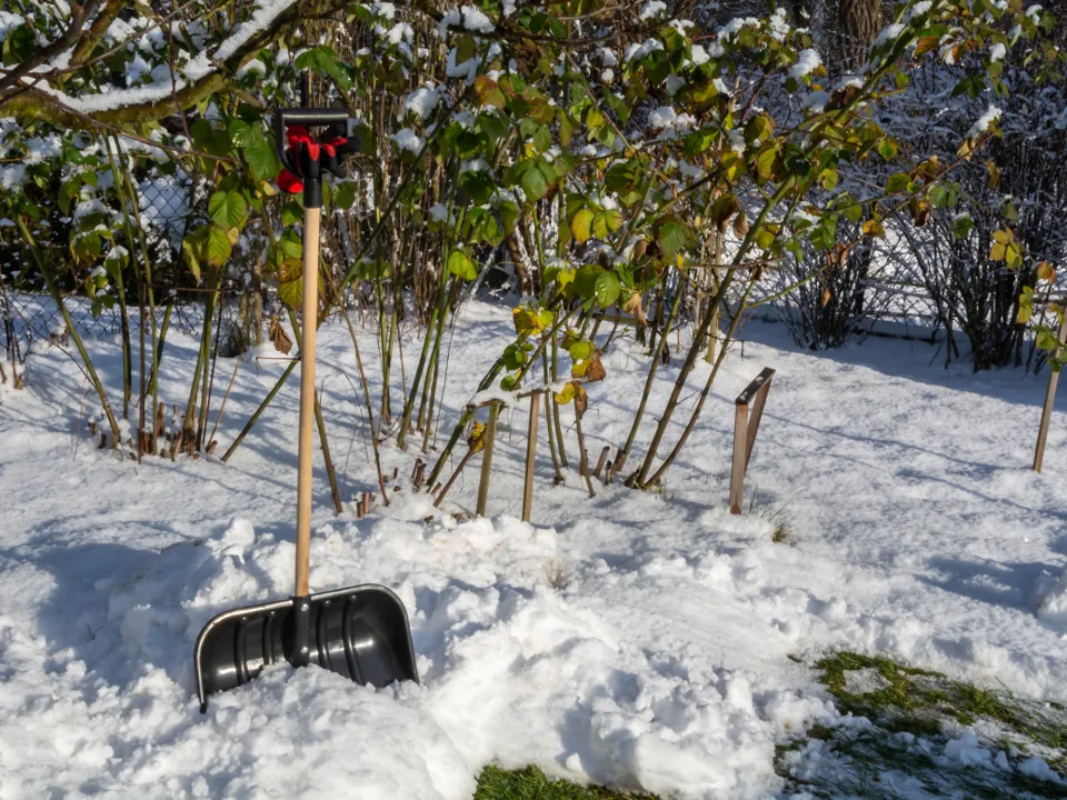Фото: istockphoto.com/senatorek