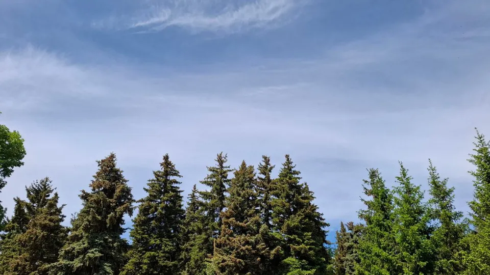 Фото: REGIONS/Юлия Габбасова