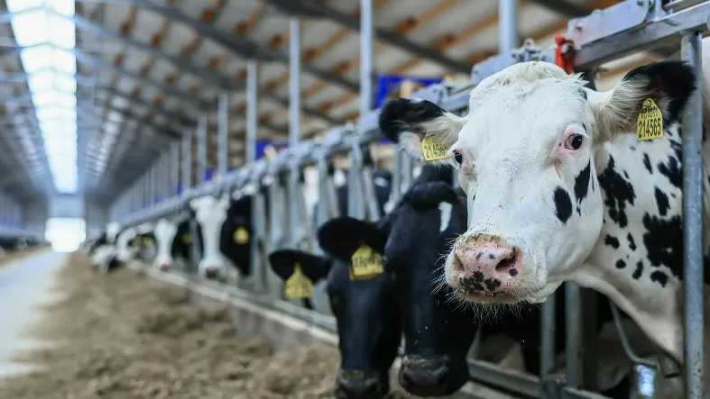 Фото: медиасток.рф