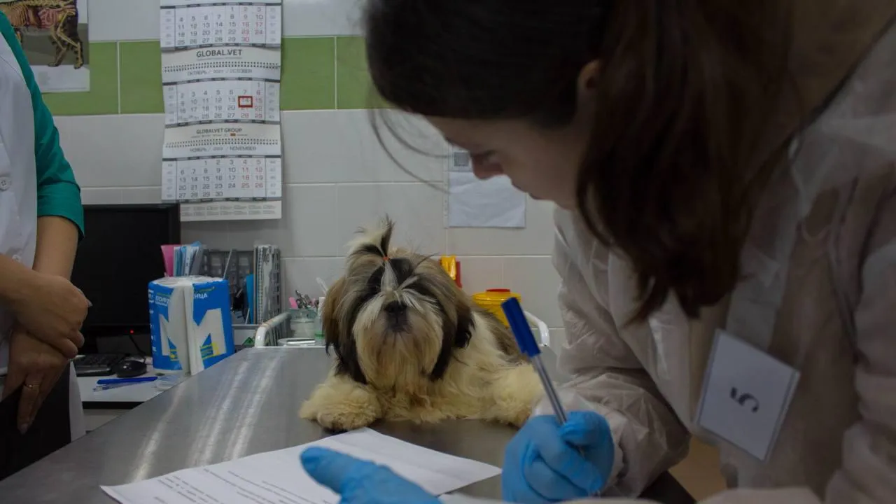 Министерство информационных и социальных коммуникаций Московской области