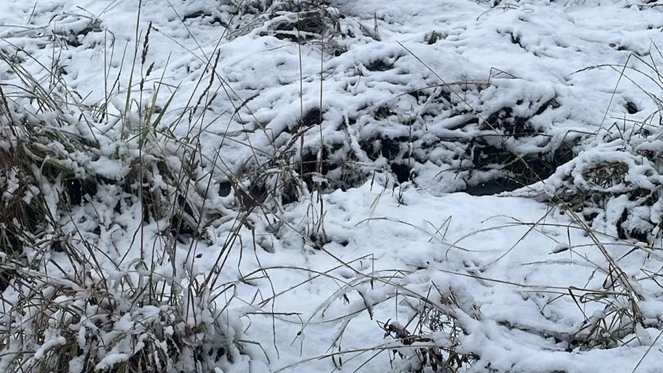 Фото: REGIONS/Юлия Петрова