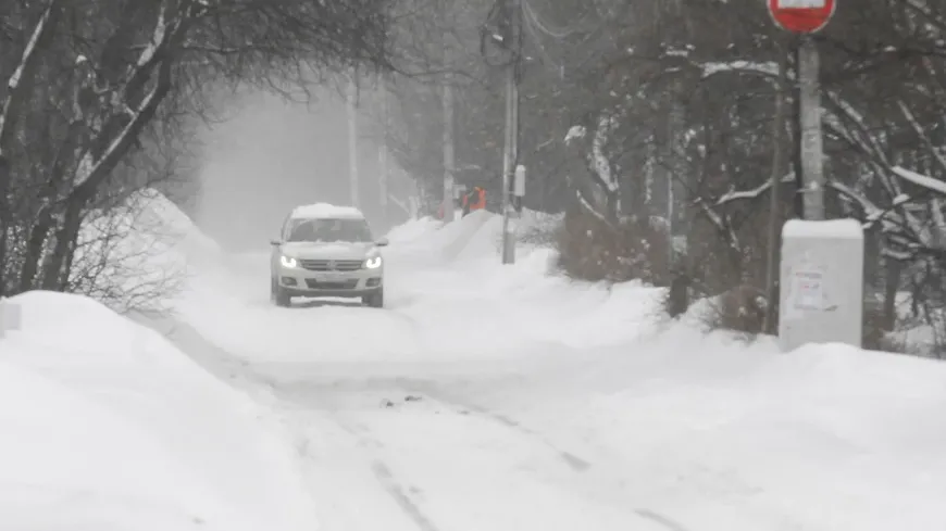 © РИАМО в Балашихе,  Ирина Мальцева