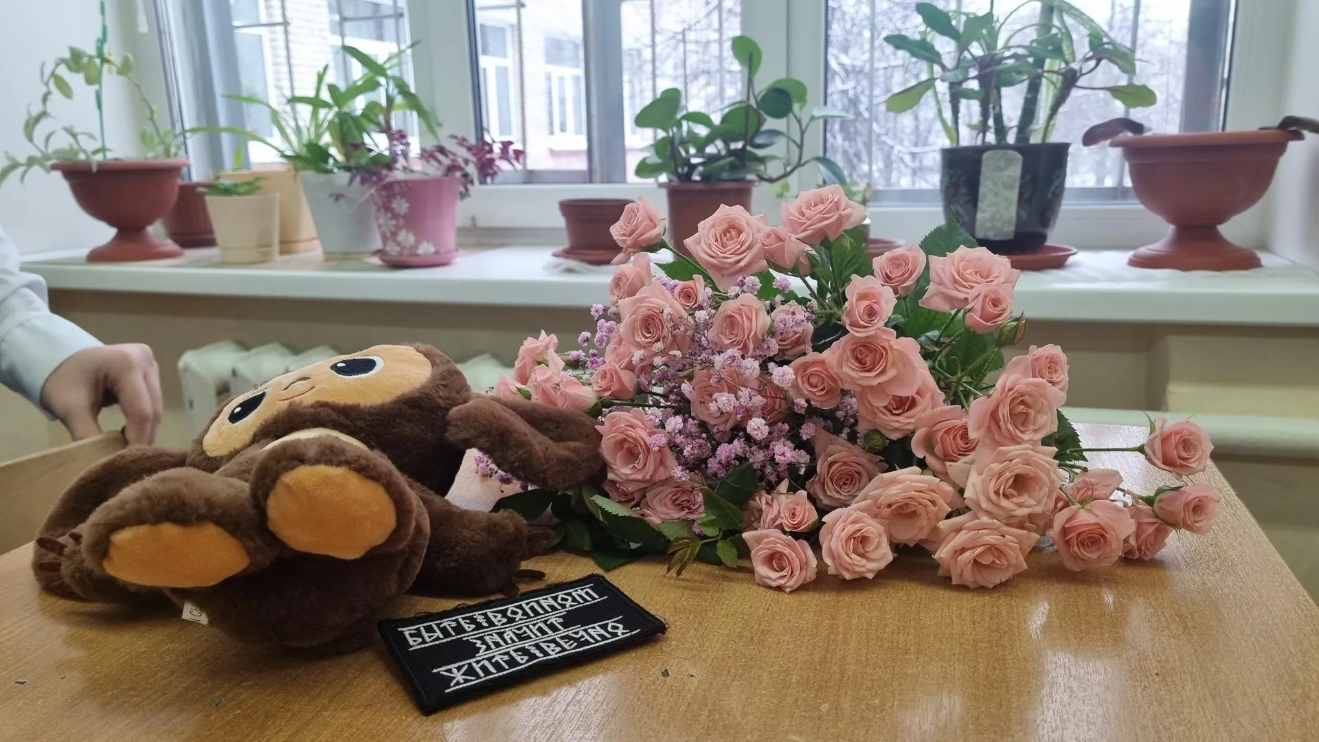 Фото: Ольга Егиян