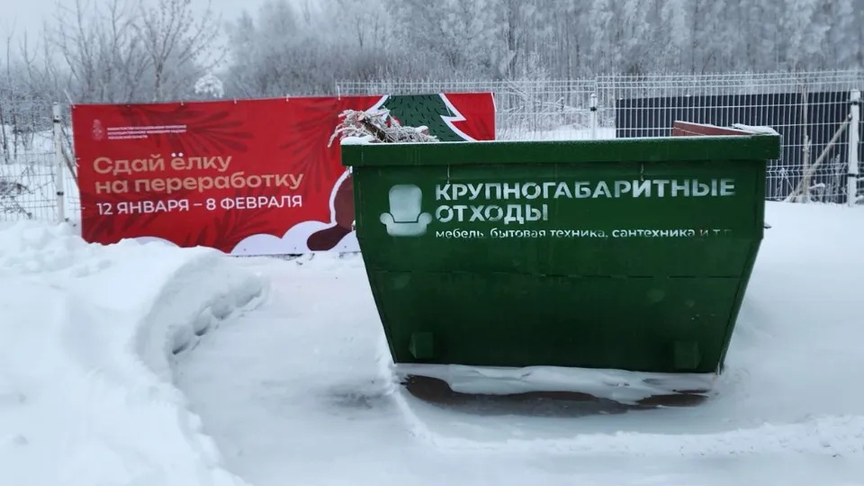 Фото: МедиаБанк Подмосковья/Валентина Максимова