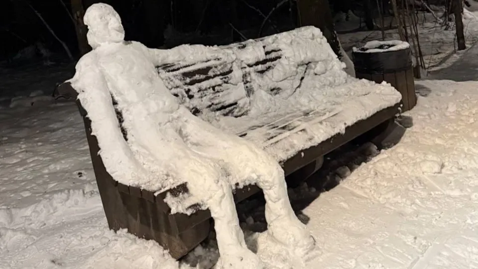 Фото: t.me/tv360odincovo