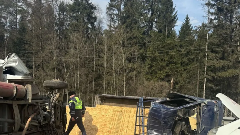 Фото: пресс-служба ГУ МВД России по Московской области