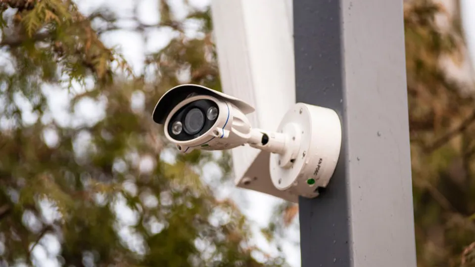 Фото: t.me/Krasnotsvetov_MV