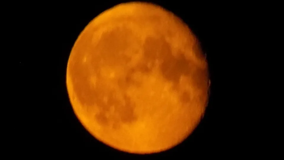 Фото: МедиаБанк Подмосковья/Михаил Мартыненко