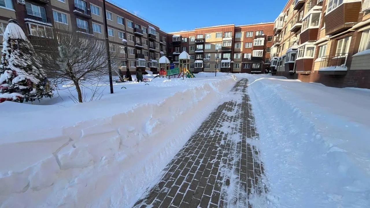 t.me/artsuvorov_live