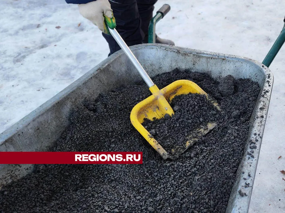 Фото: Валерия Тингаева