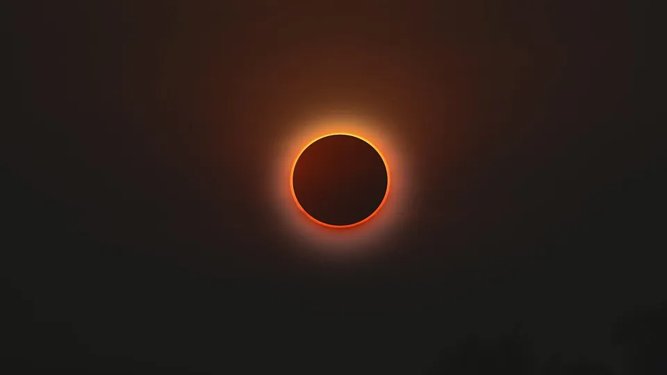 Фото: сommons.wikimedia/Nblahmd