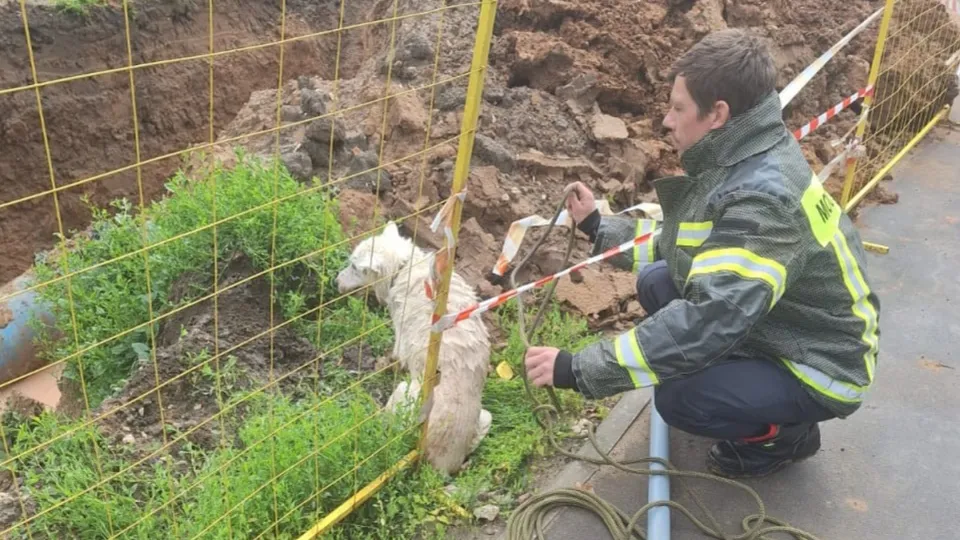 Фото: ГКУ МО «Мособлпожспас»