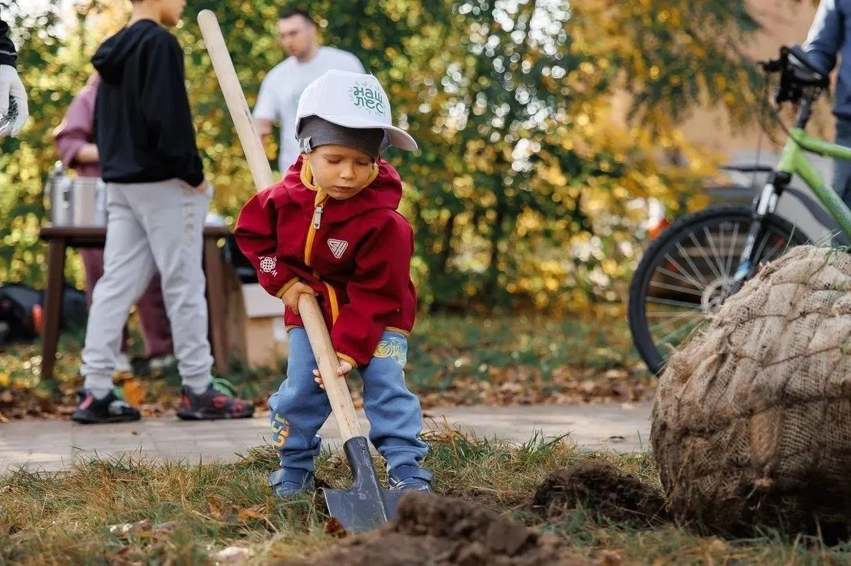 Фото: Комитет лесного хозяйства Московской области