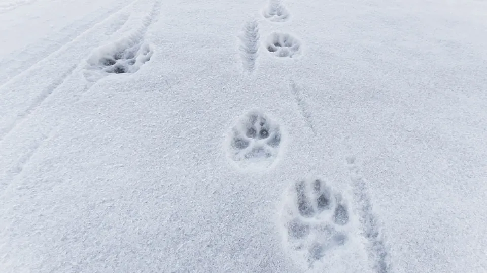 Фото: istockphoto.com