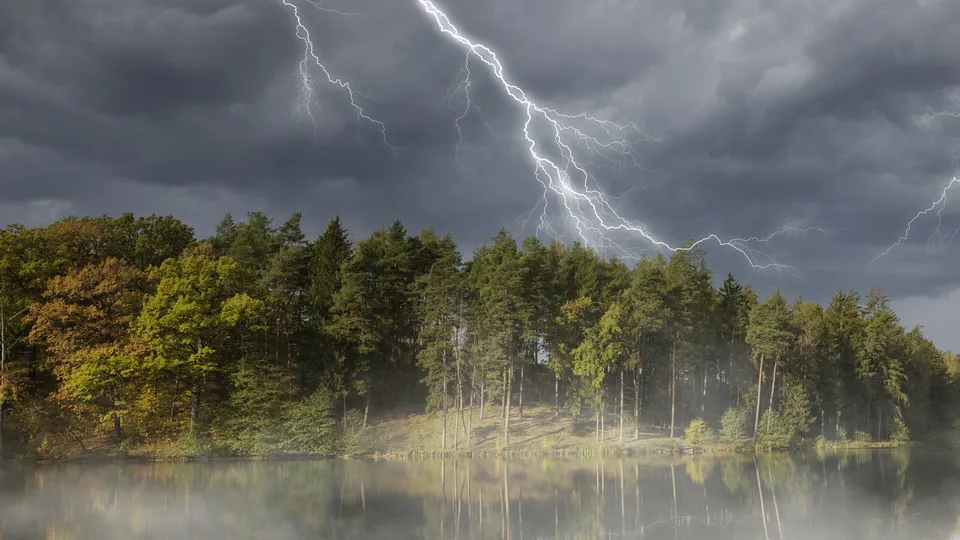 Фото: freepik.com