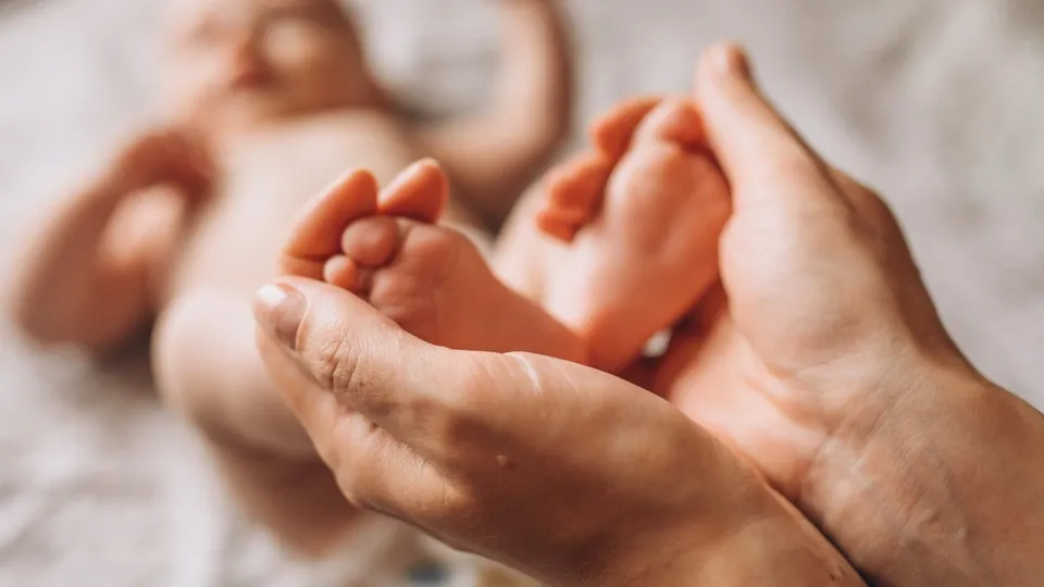 Фото: freepik.com