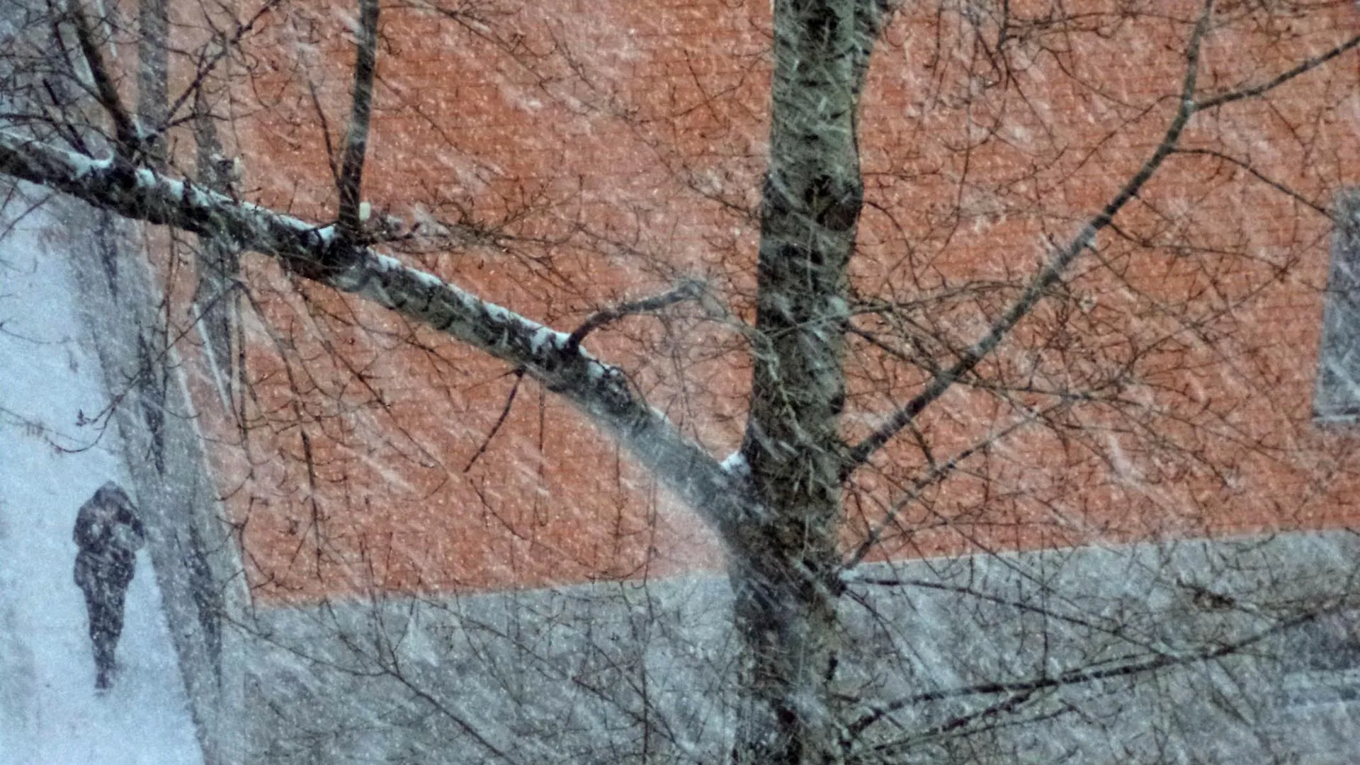 Фото из социальных сетей