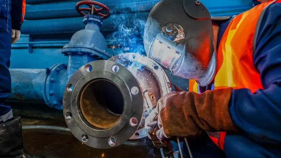 пресс-служба губернатора и правительства Московской области/Екатерина Агеева