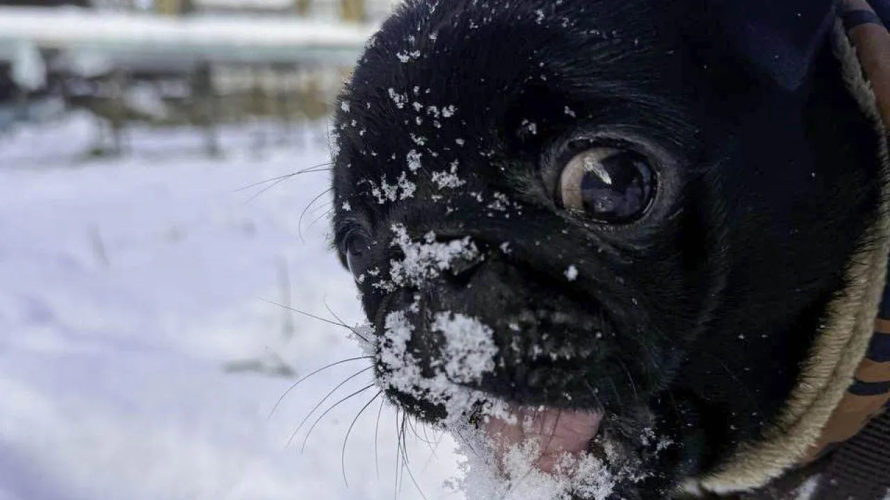 REGIONS/Анастасия Малышенко