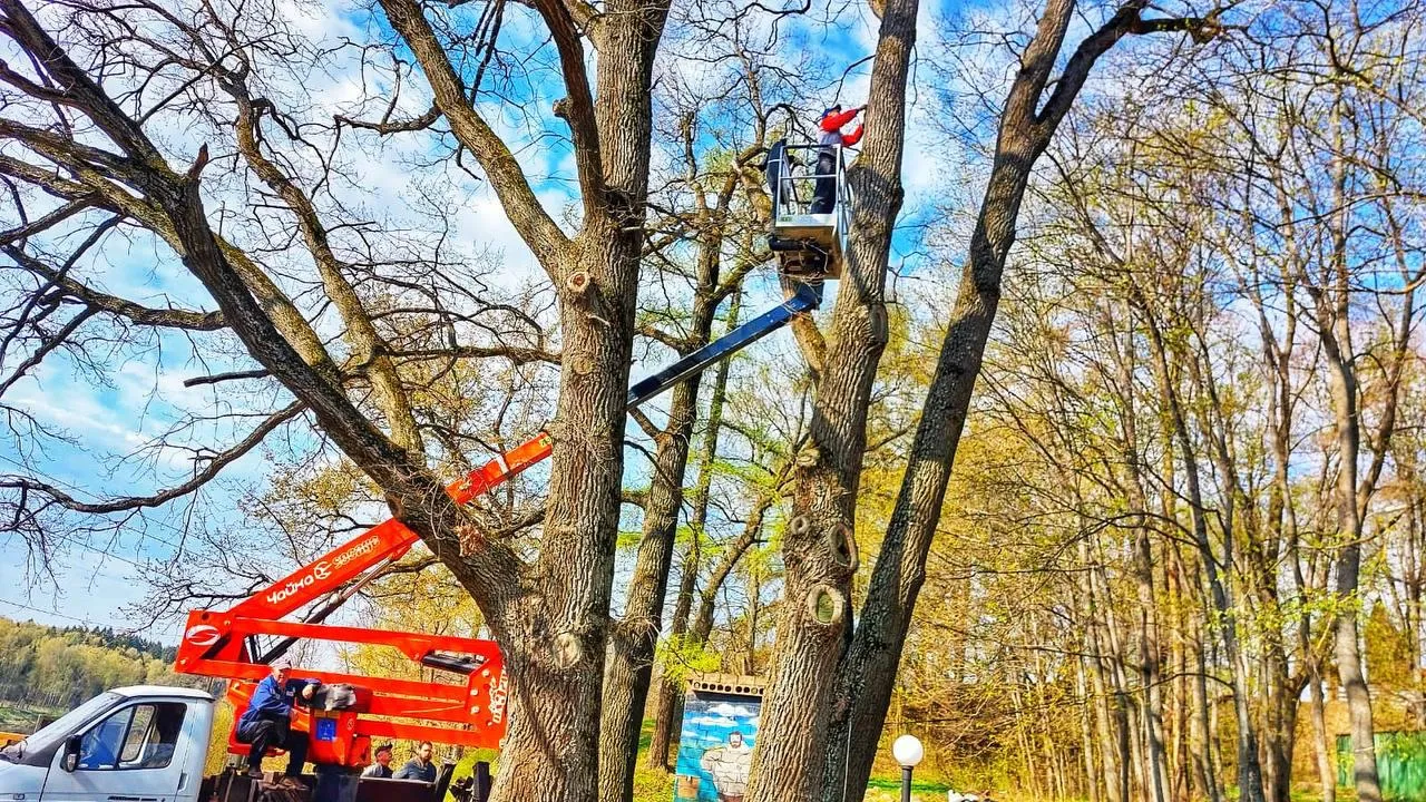 Картинка