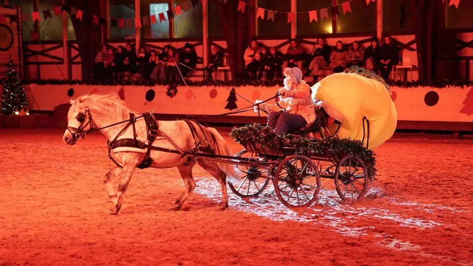 Фото: СШОР «Белка»