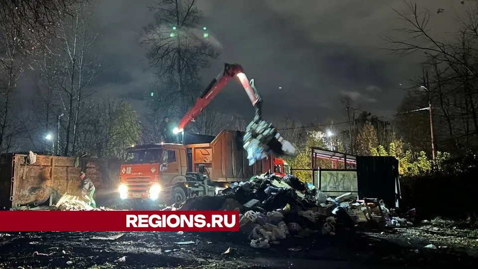 Фото: Наталья Петрова