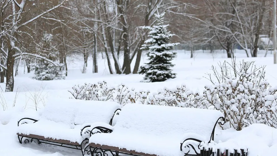 Фото: пресс-служба администрации г.о. Долгопрудный