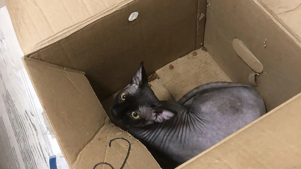 Фото: ООО "ЭкоЛайн-Воскресеснк"