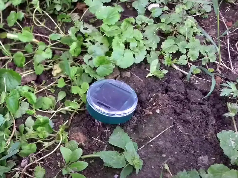 Фото: youtube.com/Богданов LIVE