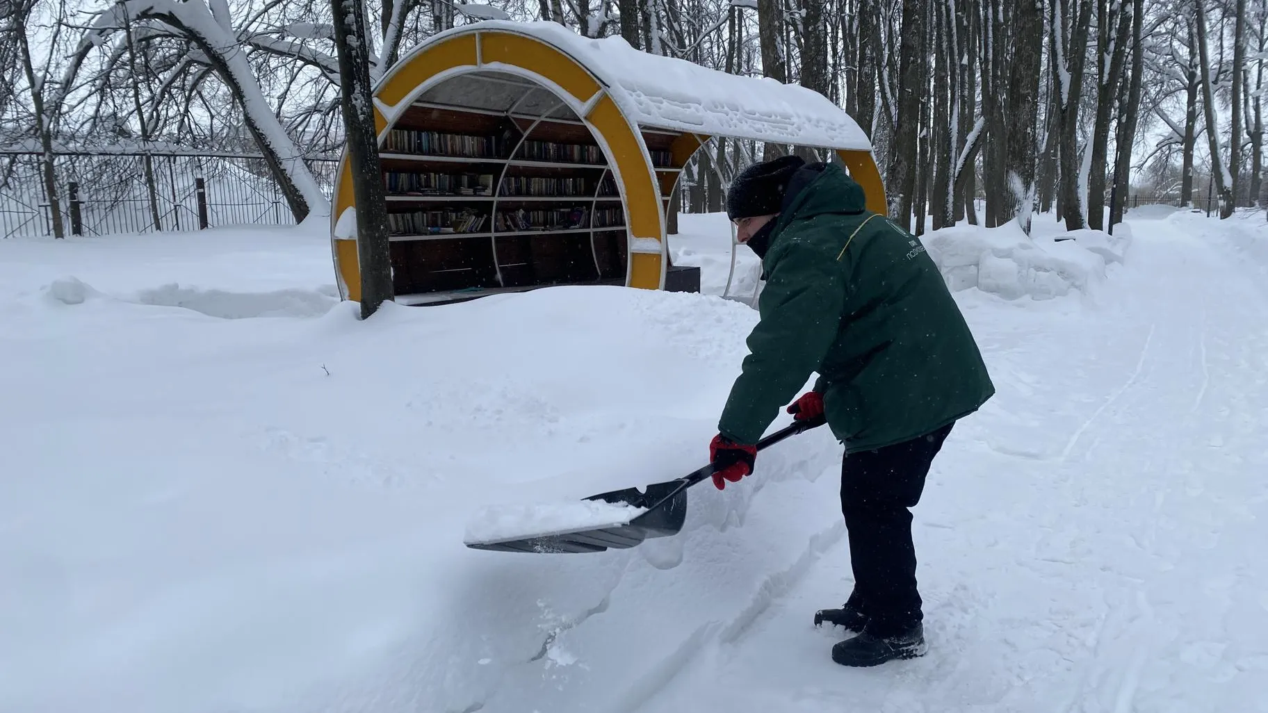 Анна Артюшина