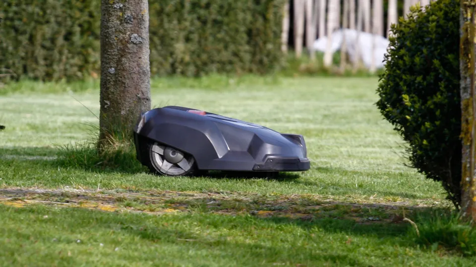 Фото: TASS/Zuma/Jaap Arriens