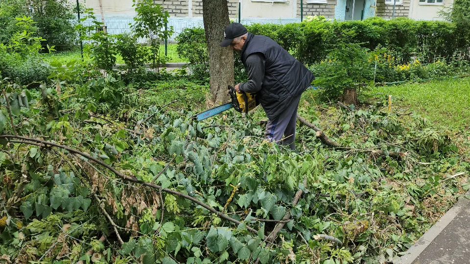 Фото: МедиаБанк Подмосковья/Александр Степушкин