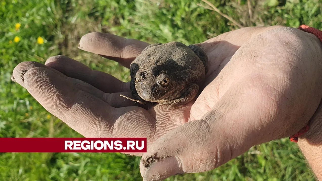 Фото Александра Дрожжина