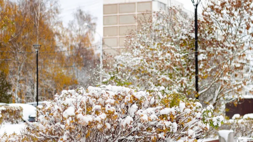 Фото: пресс-служба городского округа Кашира