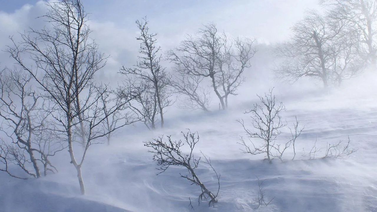 медиасток.рф