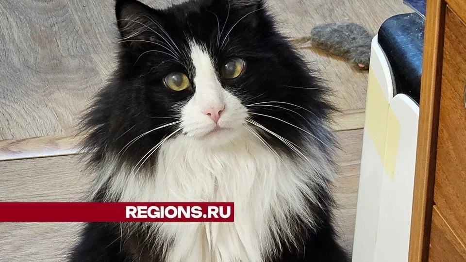 Фото: Александр Дрожжин