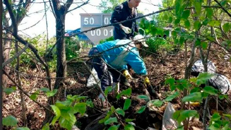 Фото: пресс-служба Минчистоты Московской области