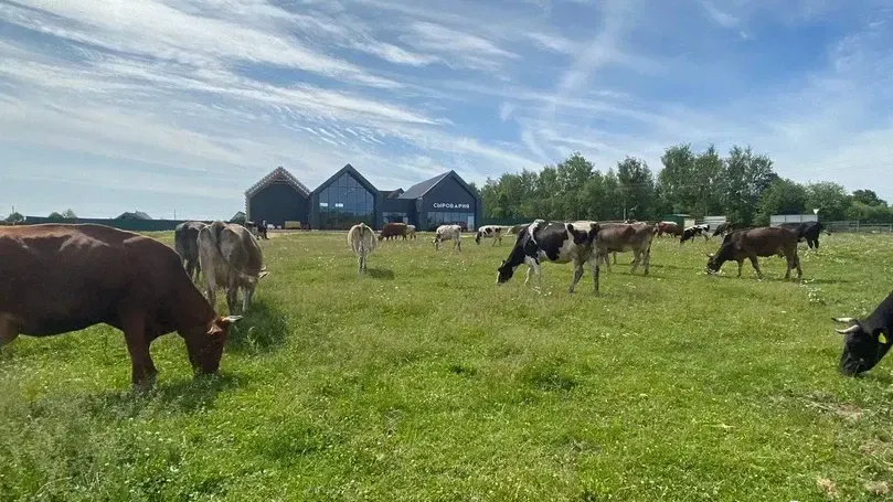 Фото: пресс-служба Министерства сельского хозяйства и продовольствия Московской области
