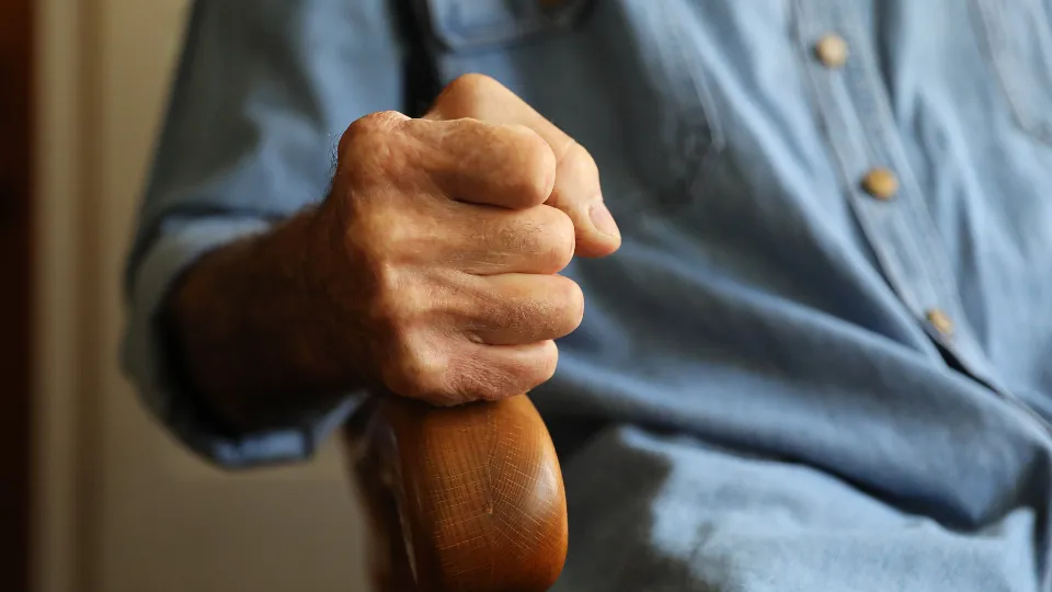 Фото: istockphoto.com/Gabrijelagal