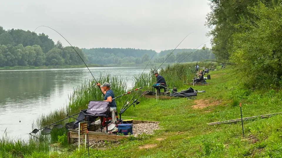 Фото: МедиаБанк Подмосковья/Эдуард Стратонов