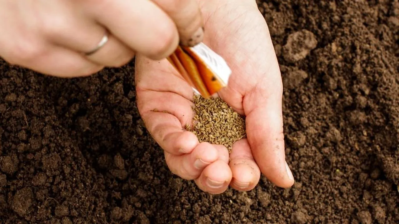 Фото: istockphoto.com_audriusmerfeldas