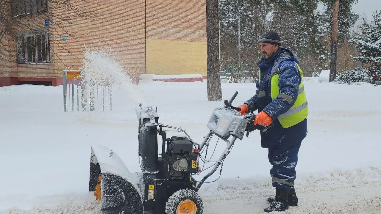 Мария Амелина