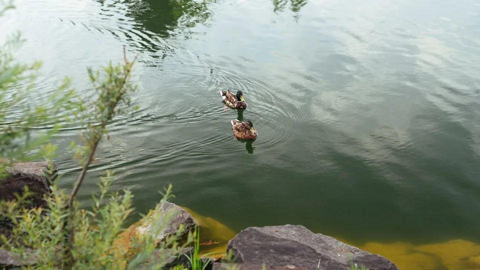 Фото: freepik.com