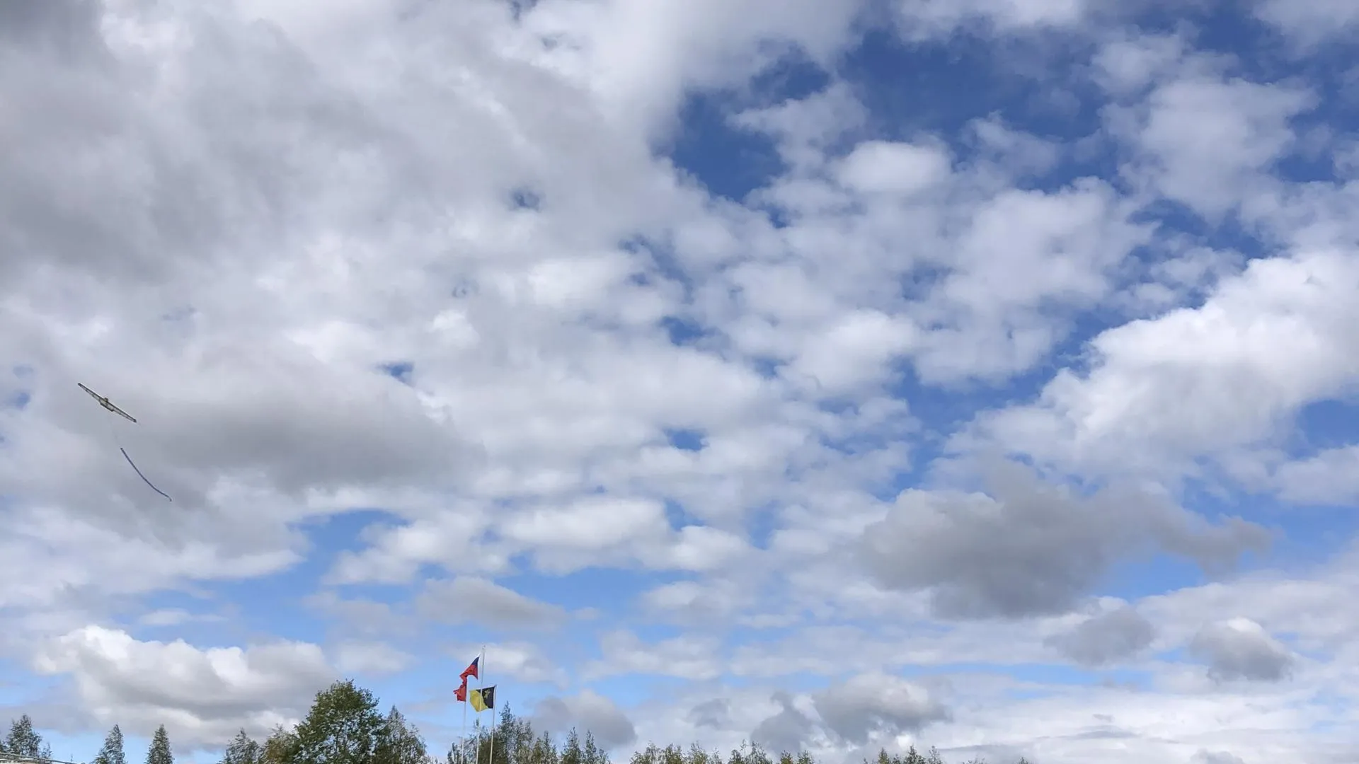 Дарья Савинова